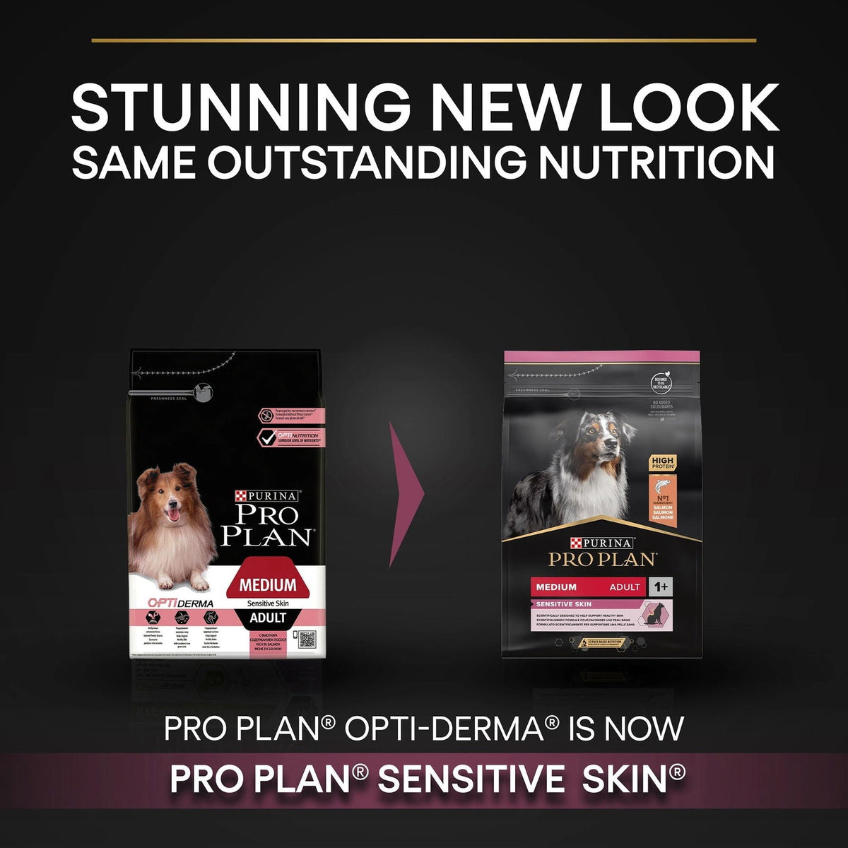 Pro Plan Medium Adult Sensitive Skin with Optiderma Rich in Salmon 3kg
