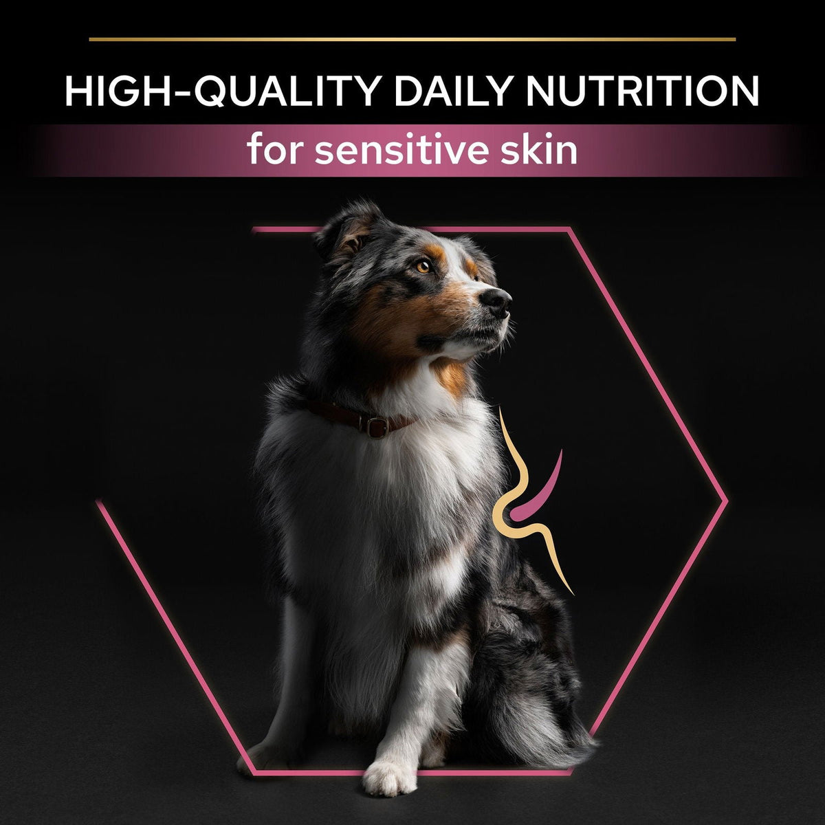 Pro Plan Medium Adult Sensitive Skin with Optiderma Rich in Salmon 3kg