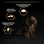 Pro PlanDry Food with Chicken forMini Breed Adult Dogs 3 kg