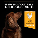 Pro PlanDry Food with Chicken forMini Breed Adult Dogs 3 kg