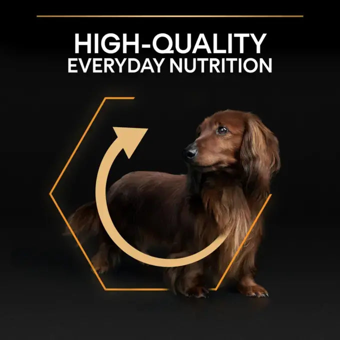 Pro PlanDry Food with Chicken forMini Breed Adult Dogs 3 kg