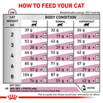 Royal Canin Renal All Breeds Adult Cat Food