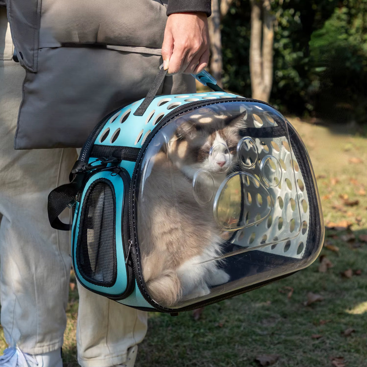 Pet Carrier Package for Cats and Small Dogs Blue