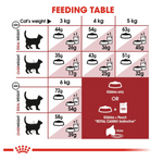 Royal Canin Fit 32 All Breeds Adult Cat Food