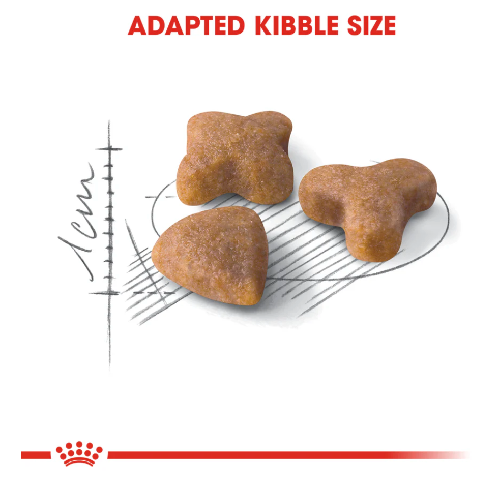 Royal Canin Sensible All Breeds Adult Cat Food