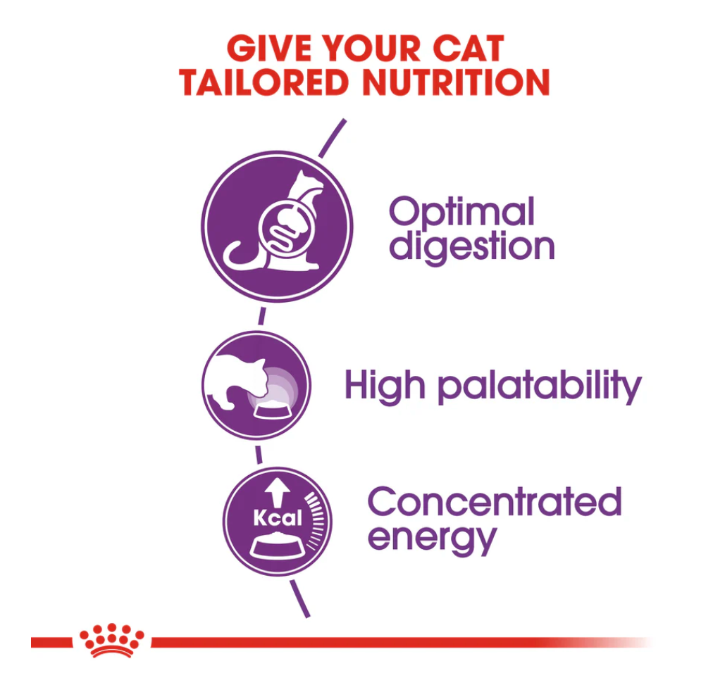 Royal Canin Sensible All Breeds Adult Cat Food