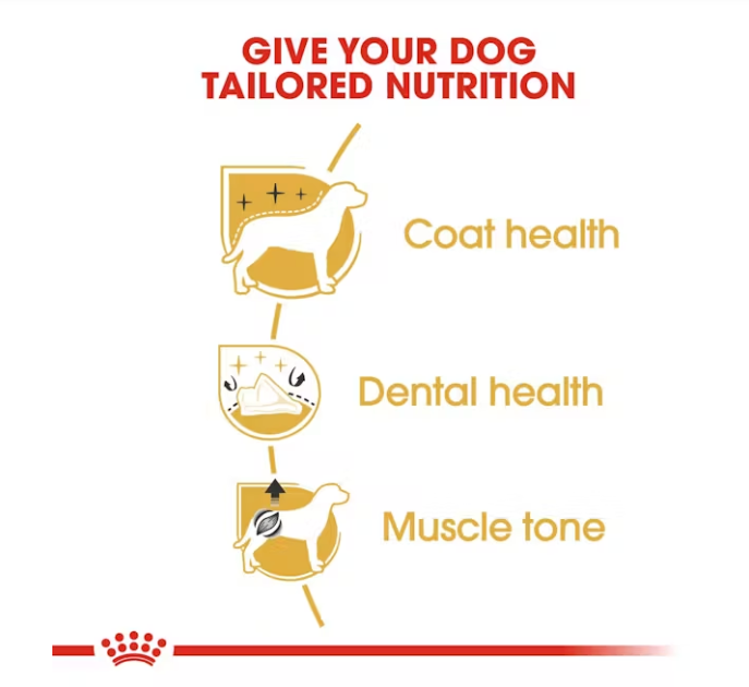 Royal Canin Poodle Adult Dog Food 3kg