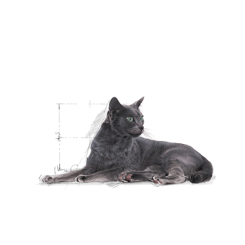 Royal Canin Sterilised 7+ All Breeds Mature Cat Food 1.5kg