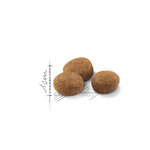 Royal Canin Sterilised 7+ All Breeds Mature Cat Food 1.5kg