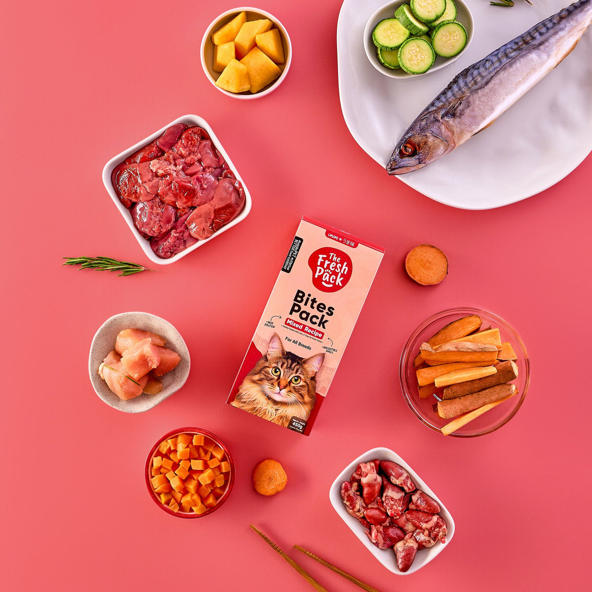 The Fresh Pack Bites UMAMIPack for cats- Mixed Flavors