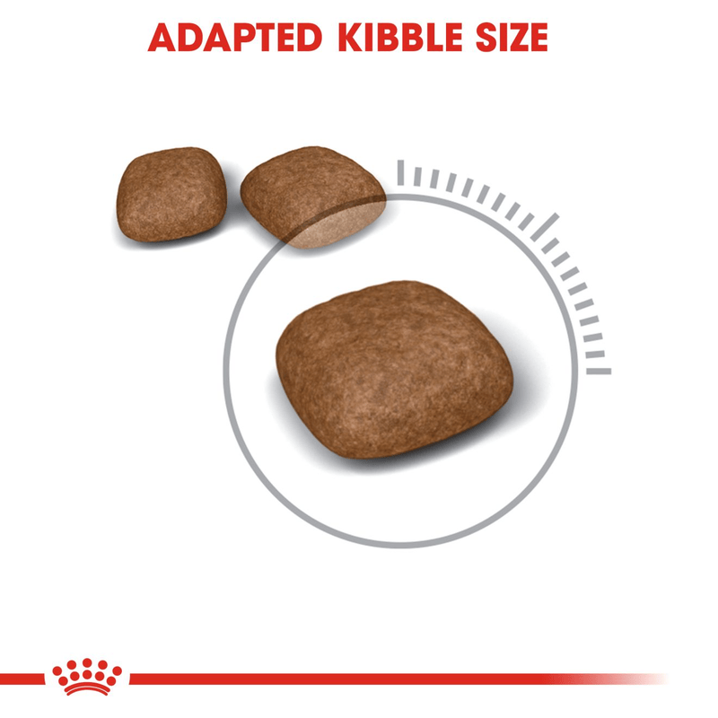 Royal Canin Urinary Care All Breeds Adult Cat Food