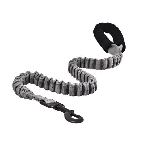Naomi Pet Leash