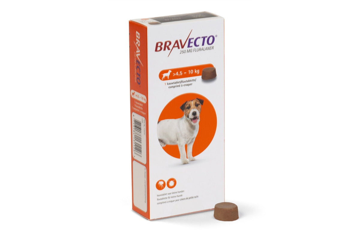 Bravecto MSD 4.5-10Kg Adult Dog Flea & Tick Treatment - 1 Tablet