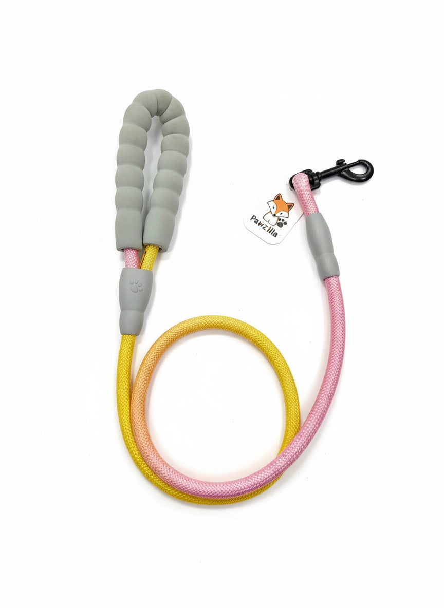 PawZilla Leash