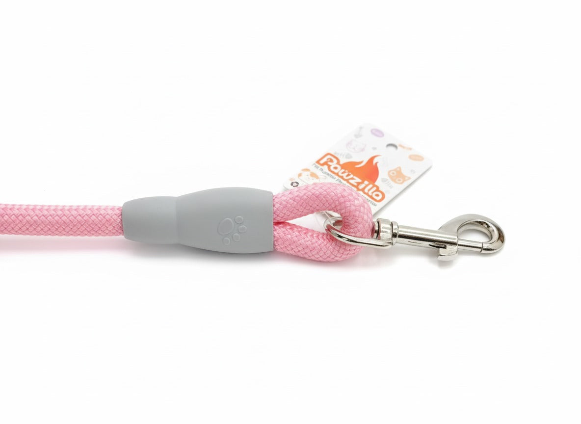PawZilla Leash