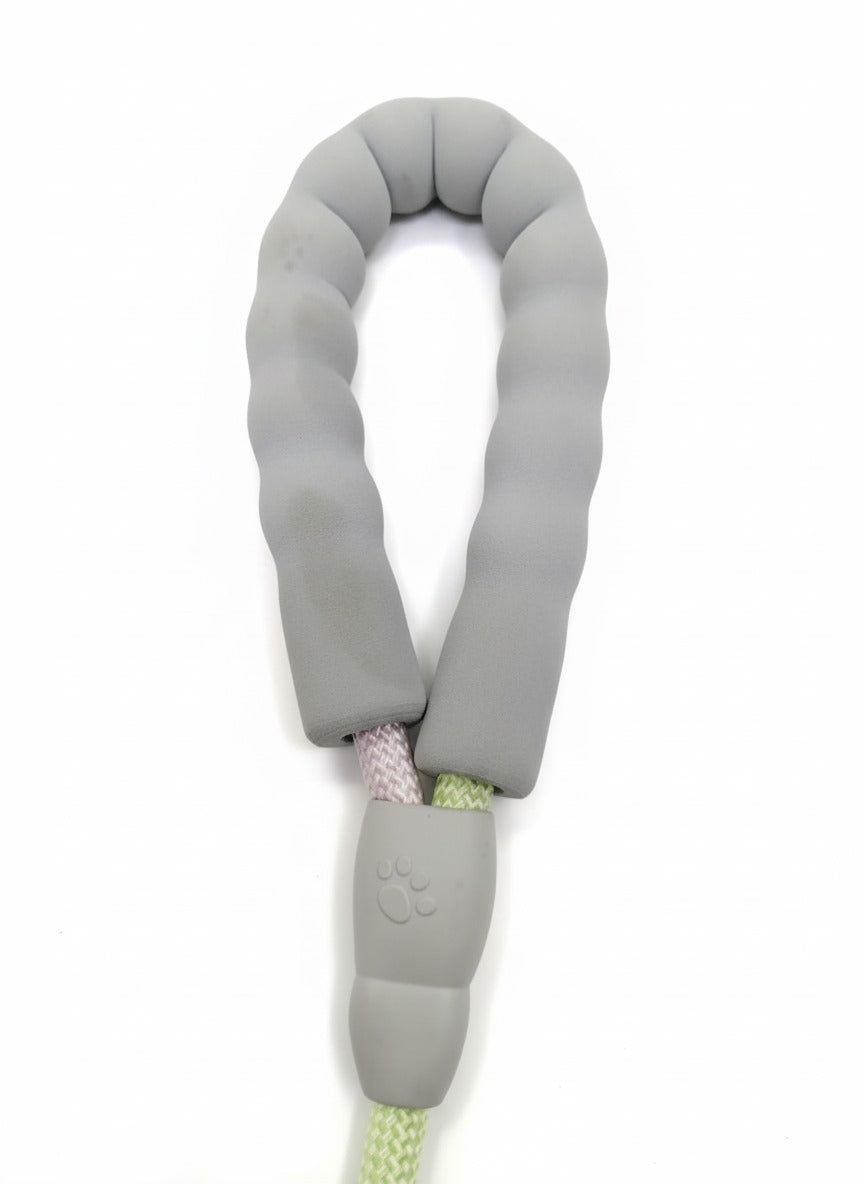 PawZilla Leash
