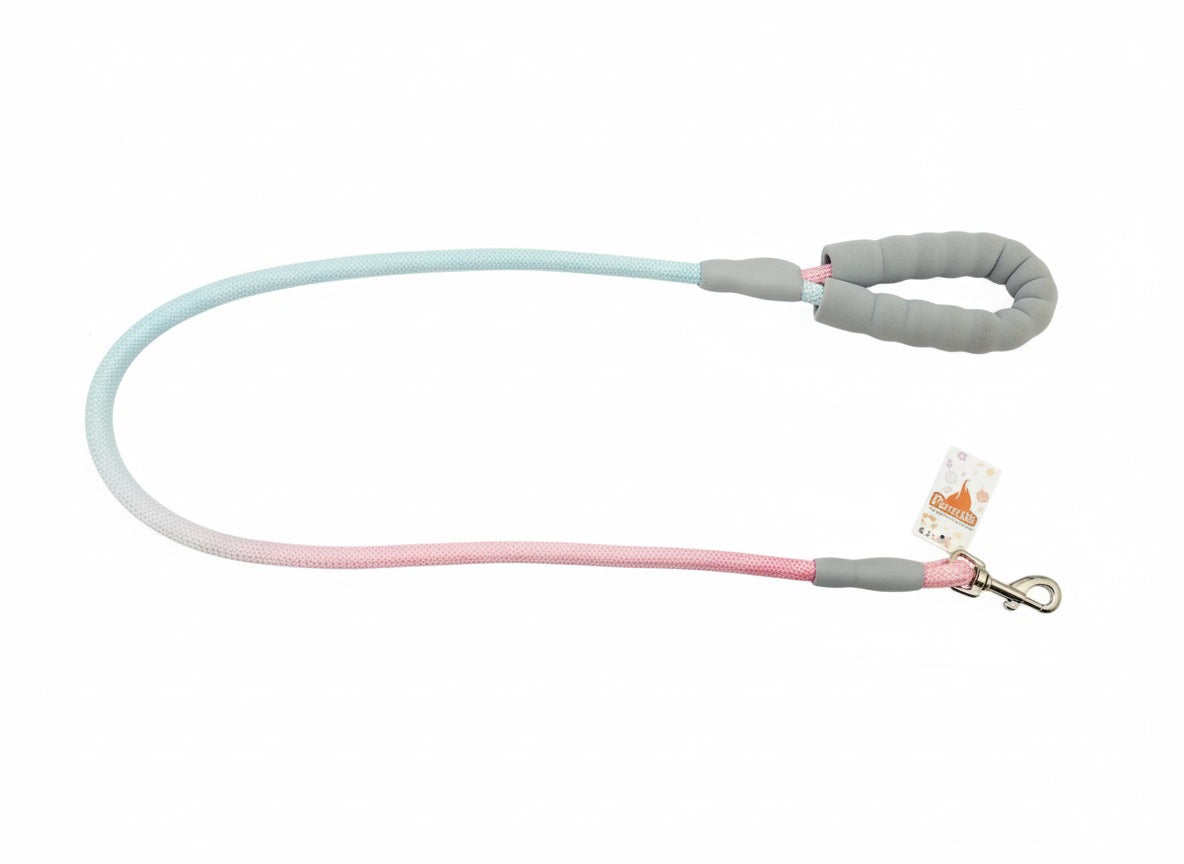 PawZilla Leash