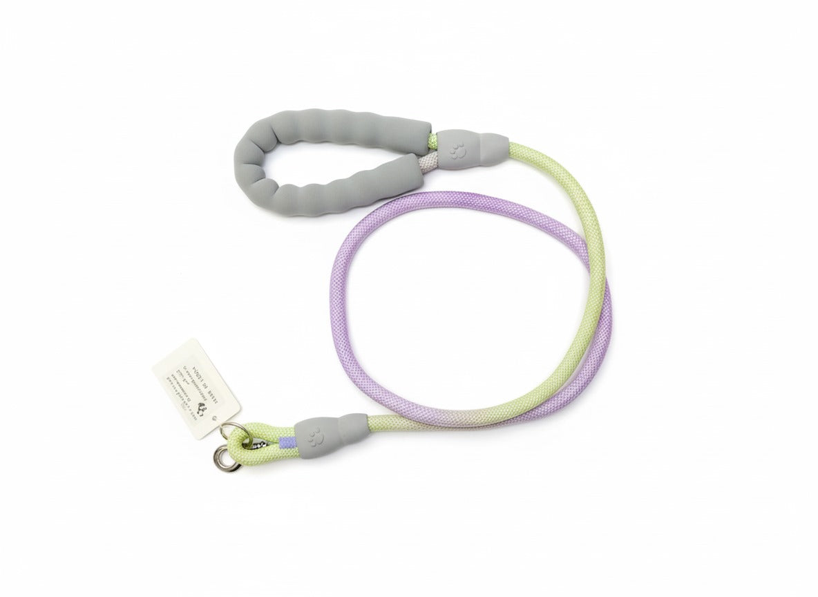 PawZilla Leash