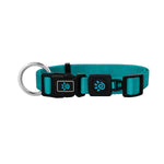 DOCO® Nylon O-Ring Dog Collar