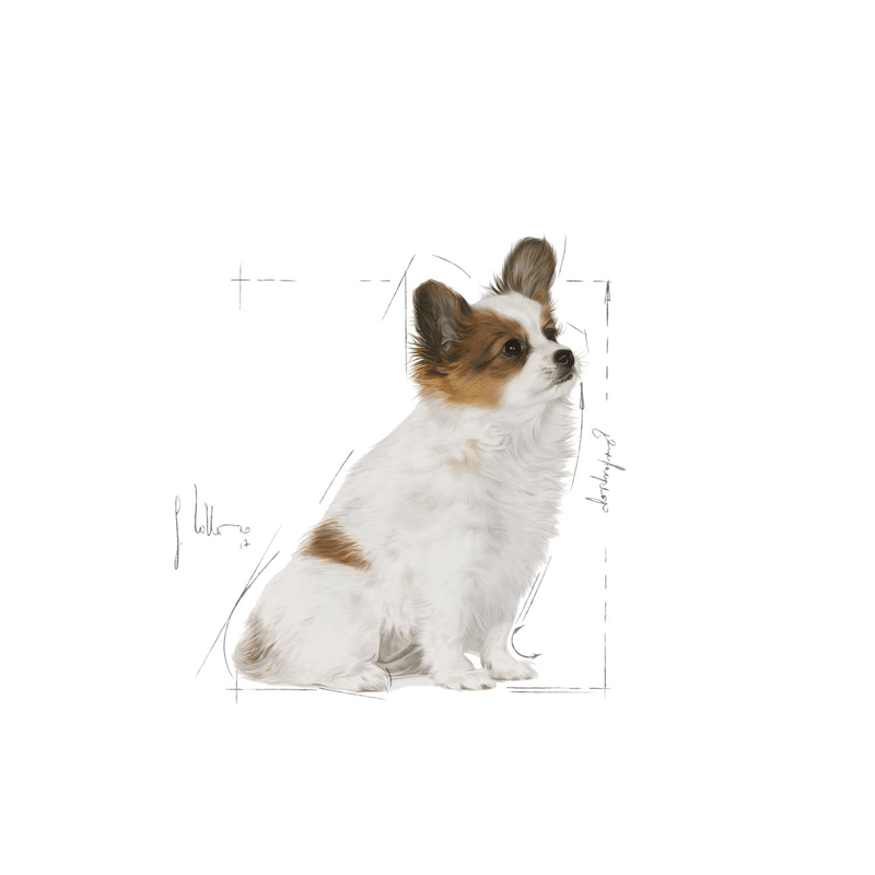 Royal Canin Puppy X-Small Breed Dog Food 1.5kg
