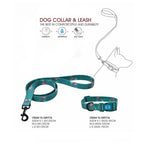 Naomi Collar & Leash Size M