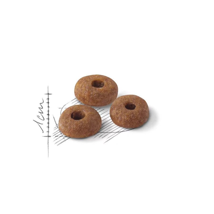 Royal Canin Fit 32 All Breeds Adult Cat Food