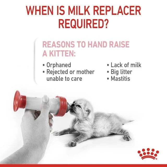 Royal Canin Babycat Royal Canin All Breeds Newborn Cat Milk