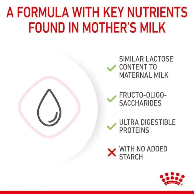 Royal Canin Babycat Royal Canin All Breeds Newborn Cat Milk