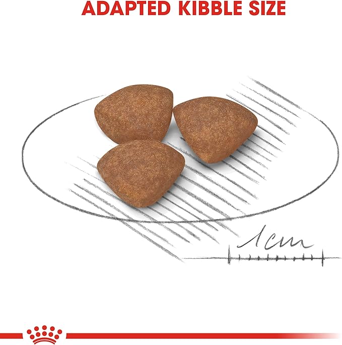 Royal Canin Mini Puppy Small Breed Dog Food