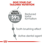 Royal Canin Dental Oral Sensitive All Breeds Adult Cat Food