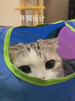 Rainbow Cat Tunnel with Hanging Toy
