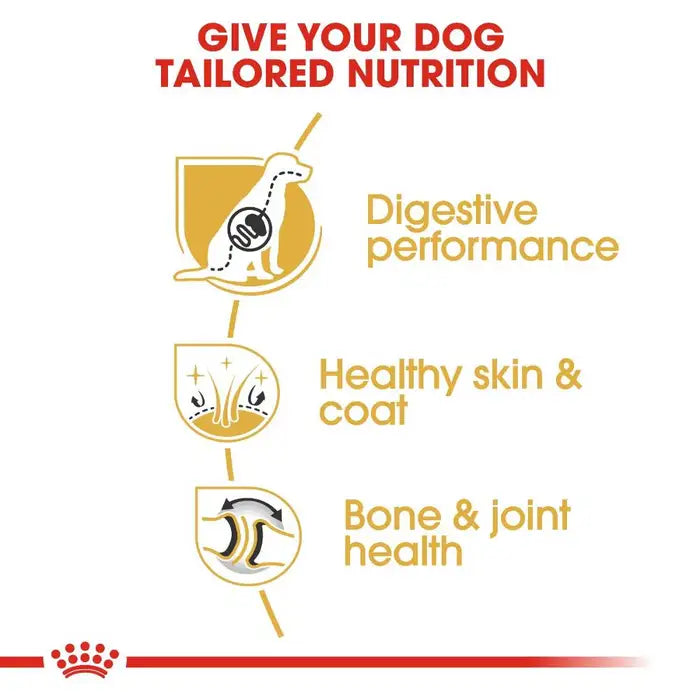 Royal Canin German Shepherd 3Kg Adult Dog Food