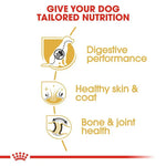 Royal Canin German Shepherd 3Kg Adult Dog Food