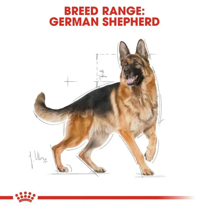 Royal Canin German Shepherd 3Kg Adult Dog Food