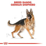 Royal Canin German Shepherd 3Kg Adult Dog Food