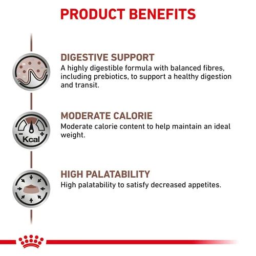 Royal Canin Gastrointestinal Moderate Calorie All Breeds Adult Cat Food