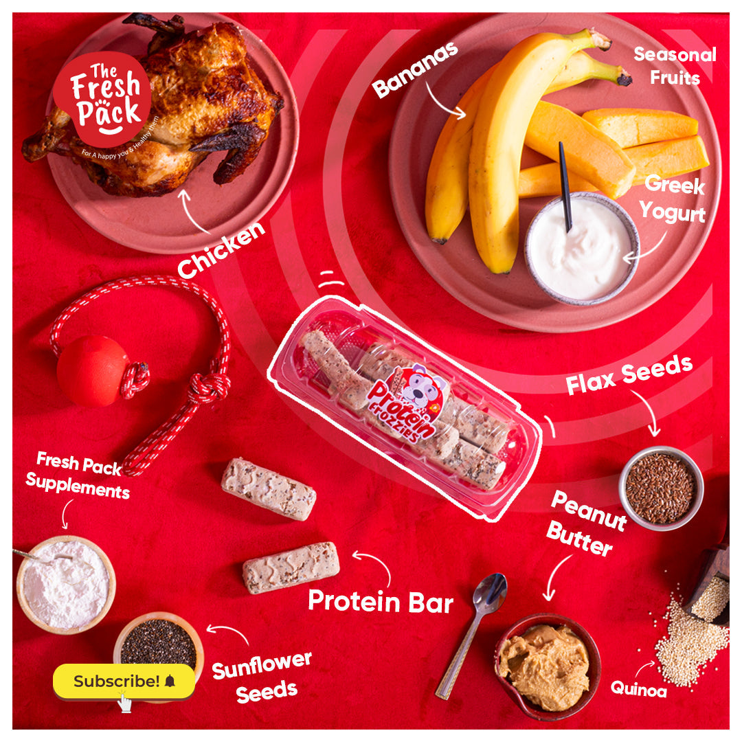 The Fresh Pack Dog Vitamin Treats -Protein Frozzies