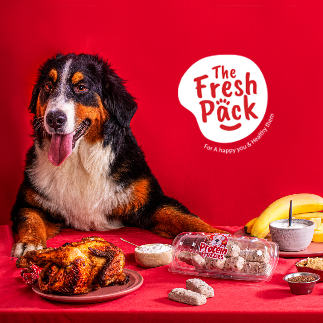 The Fresh Pack Dog Vitamin Treats -Protein Frozzies