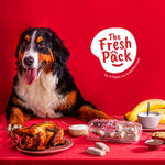 The Fresh Pack Dog Vitamin Treats -Protein Frozzies