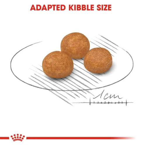 Royal Canin X-Small Breed Adult Dog Food 1.5kg
