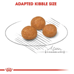 Royal Canin X-Small Breed Adult Dog Food 1.5kg